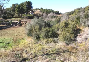 Finca con masia para rehabilitar en Penedès