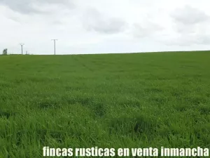 finca en venta 10 has. labor pastos recreo