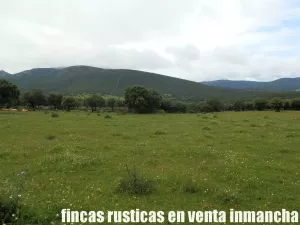 finca en venta 590 has. ganadera caza mayor
