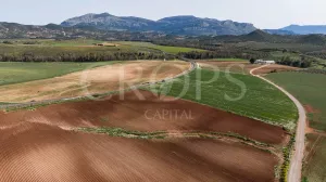 Finca agrícola de regadío en Málaga