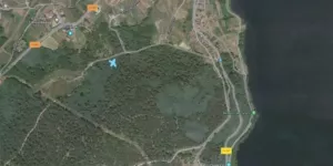 Monte en Ribadavia (Ourense)