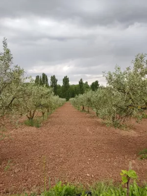SE VENDE FINCA RÚSTICA