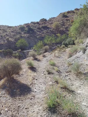 FINCA 50 HA. SIERRA DE LOS FILABRES.