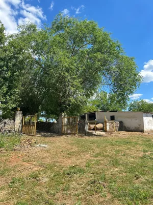 🌿 Finca en la Sierra Norte de Sevilla: 97 He