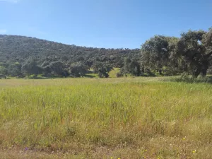 Explotación ganadera y cinegética en Córdoba