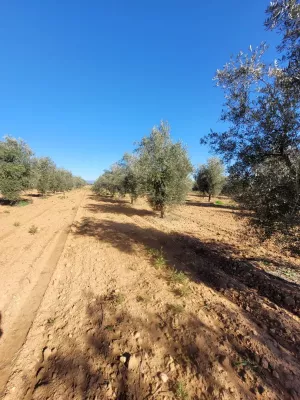 Finca de unas 400 hectáreas aproximadamente