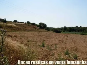 finca en venta 56 has. recreo caza menor