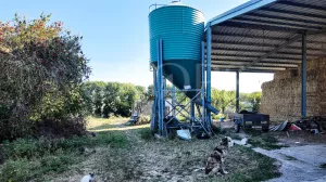 En venta finca ecuestre Costa de la Luz