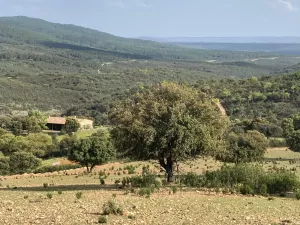 Finca en venta en Toledo