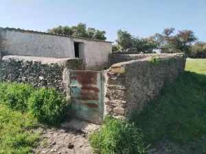 Venta de dehesa