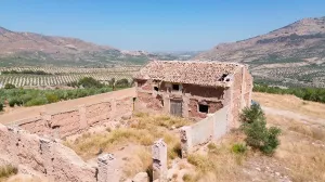 FINCA OLIVAR - CORTIJO - NAVE - BALSA