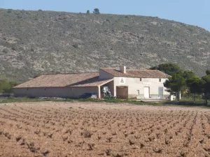 Finca agrícola en venta en Jumilla