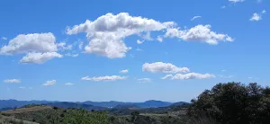 Almendro ecológico con 2 cortijos