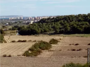 Finca apta Camping y Fotovoltaica.