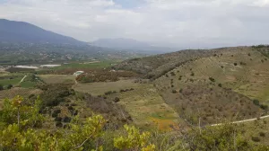 Finca de Aguacates en el Valle del Guadalhorc