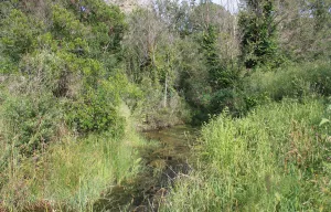 Masia rural cerca del mar en la Costa Brava