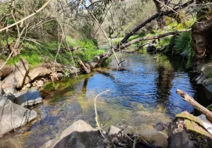 Finca La Reina