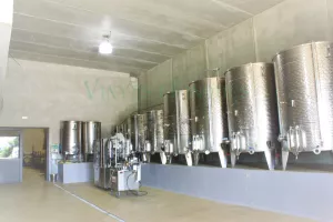 Bodega con viñedo en DO Priorat