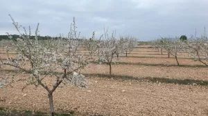 Finca de recreo de 300 Hectáreas
