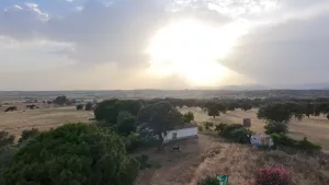 Finca Logrosan