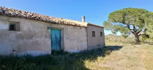 Almendro ecológico con 2 cortijos