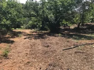 FINCA EN VENTA EN SIERRA DE ARACENA Y PICOS