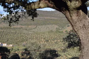 FINCA ECOLÓGICA