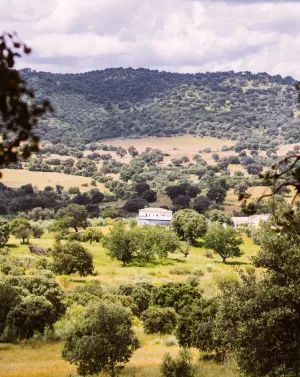 Finca de recreo en club privado