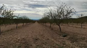 Finca de recreo de 300 Hectáreas