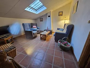 Casa cortijo con finca de olivar