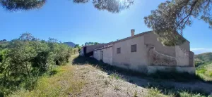 Almendro ecológico con 2 cortijos