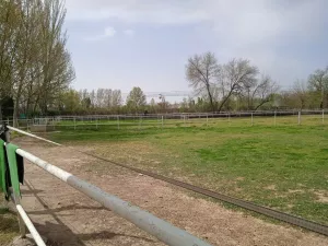 FINCA EN ARANJUEZ