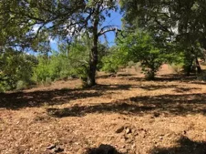 FINCA EN VENTA EN SIERRA DE ARACENA Y PICOS