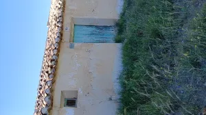 Almendro ecológico con 2 cortijos