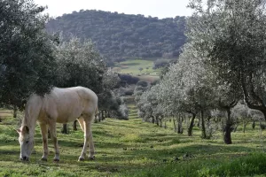 FINCA ECOLÓGICA