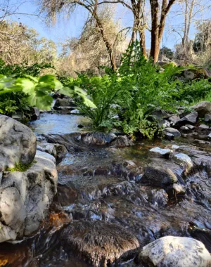 Finca La Reina