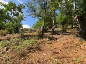 FINCA EN VENTA EN SIERRA DE ARACENA Y PICOS