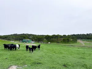 Impresionante Finca Mixta de 115 Hectáreas