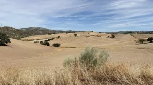 CASA CORTIJO FINCA RÚSTICA DE 756 ha