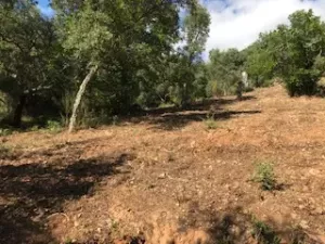 FINCA EN VENTA EN SIERRA DE ARACENA Y PICOS