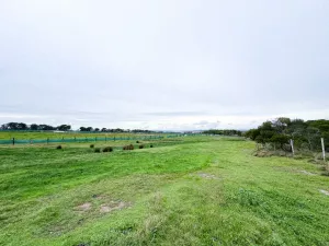 Impresionante Finca Mixta de 115 Hectáreas