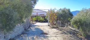 Casa cortijo con finca de olivar