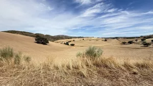 CASA CORTIJO FINCA RÚSTICA DE 756 ha