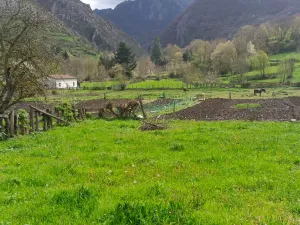 Se vende parcela y cabaña