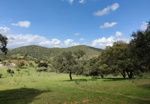 Finca La Reina