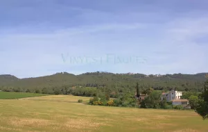 Finca masia noble, bodega y viñedo en Penedès