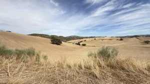 CASA CORTIJO FINCA RÚSTICA DE 756 ha