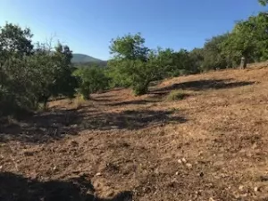 FINCA EN VENTA EN SIERRA DE ARACENA Y PICOS