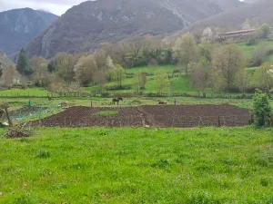 Se vende parcela y cabaña