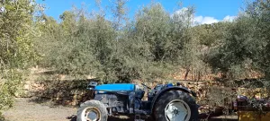 Vendo finca olivos y almendros